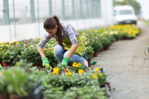 Gardener Richmond team inspecting a garden site