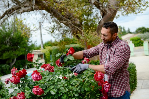 Close-up of a gardener assessing a lawn and noting details for a complaint record