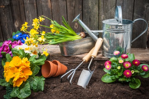 Person inspecting accessible garden layout plans