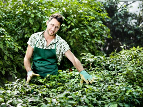 Professional gardener from Richmond tending to plants