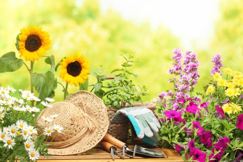 Expert gardener from Richmond working in the garden
